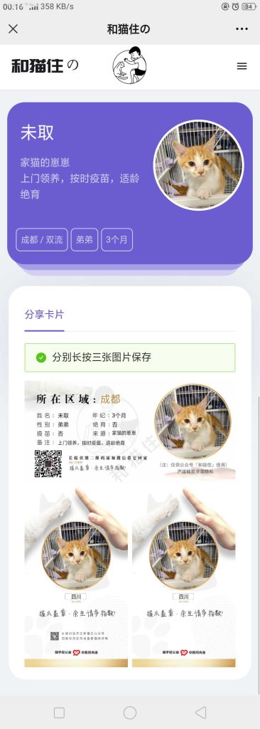 信息发布平台源码，宠物领养信息发布平台，可修改任何信息