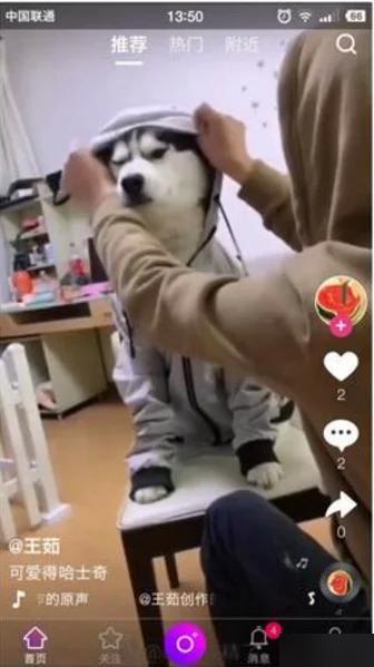 直播/短视频源码带教程，云豹二开：揭秘最新完整源码的奇妙世界